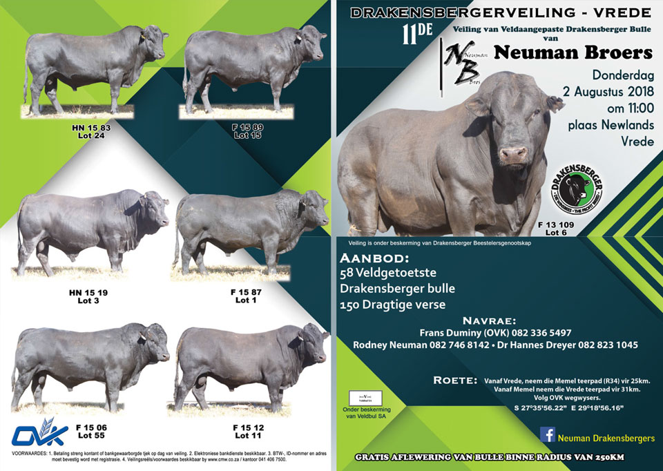 Neuman Brothers 11th Drakensberger sale
